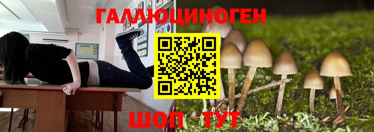 Галлюциногенные грибы GOLDEN TEACHER  Вход с VPN  Отрадное  Псилоцибиновые грибы ЛСД 