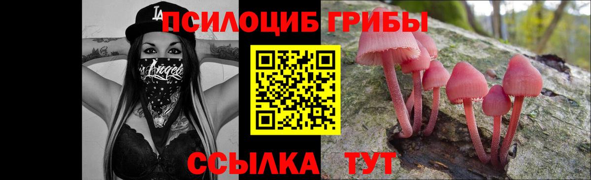 Галлюциногенные грибы GOLDEN TEACHER Отрадное